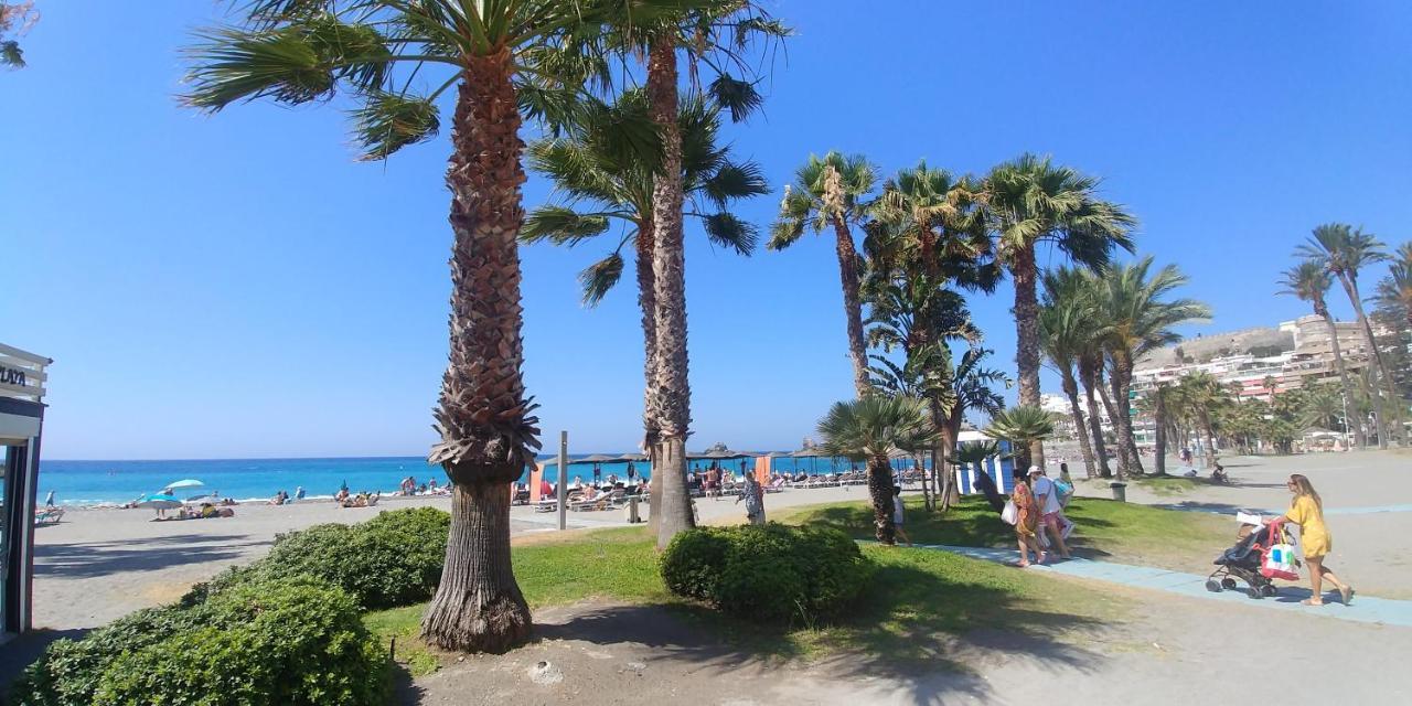 Hébergement de vacances Maison Typique Andalouse Du Cœur De